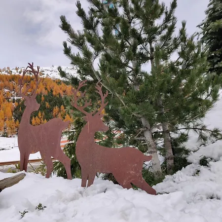 Al Dos 2 Livigno
